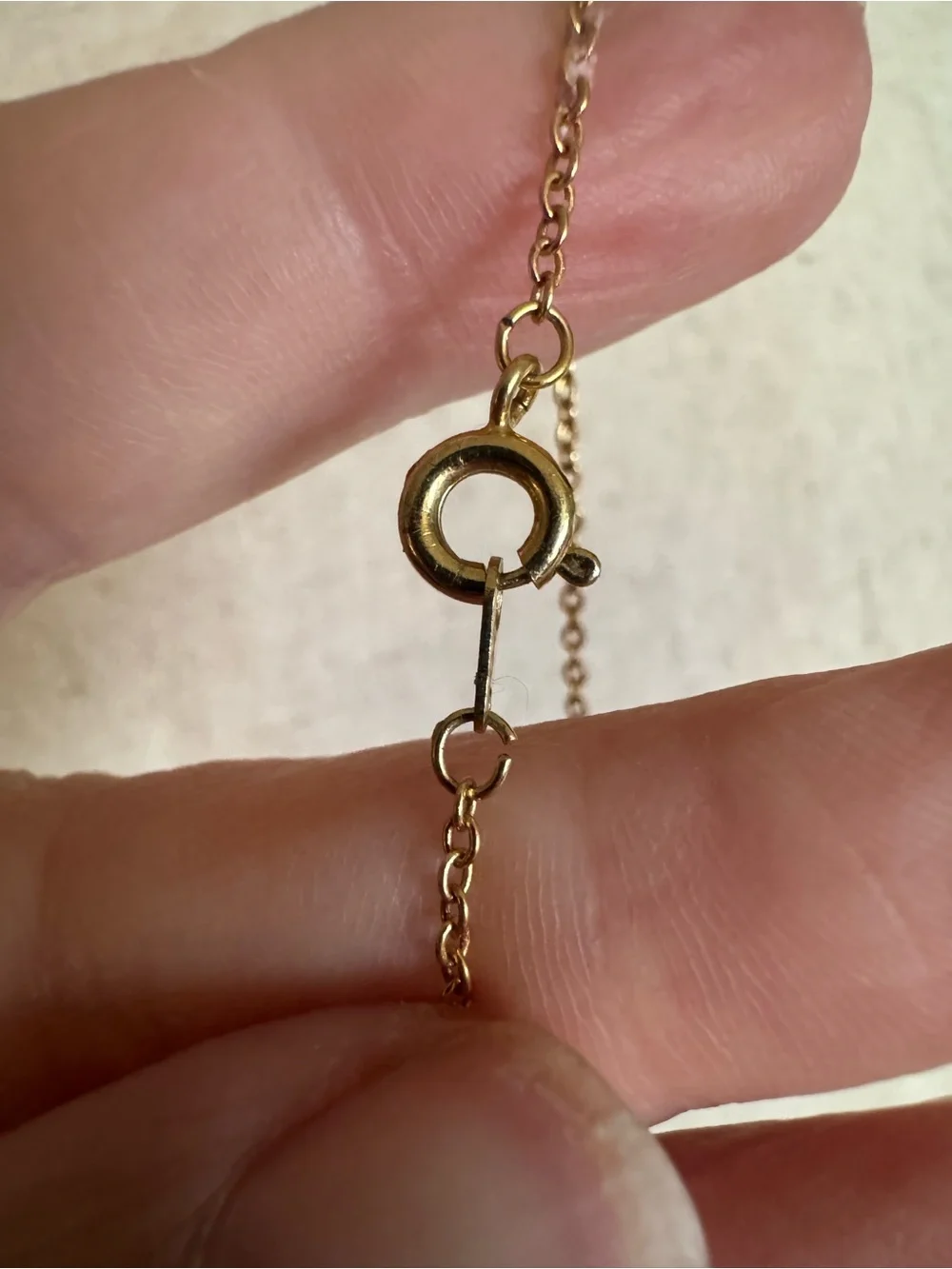 Vintage Gold Locket Necklace with Burgundy Rose Motif